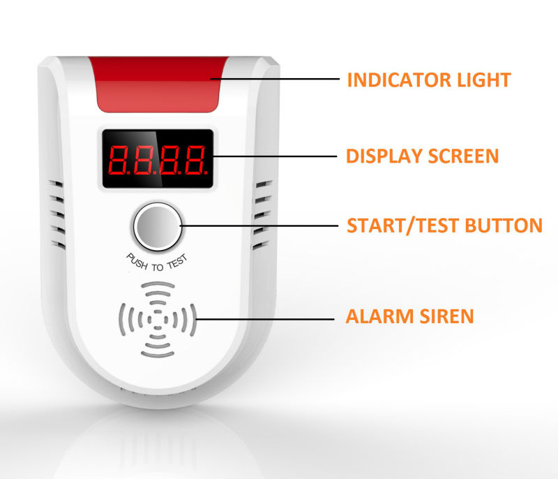 home gas detector
